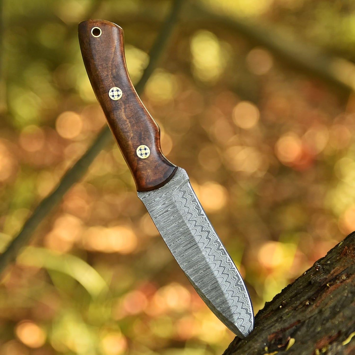Custom Handmade Damascus Steel Knife, Skinner Knives Gift for Him, Hunting Knife Rosewood Handle Scout carry Leather Sheath, Groomsmen Gift